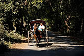 Inwa, Myanmar - tourists ride on a horse-drawn carriage. Riding on a horse cart is the easiest way to get around Inwa's narrow and dusty road to explore scatterred attractions. 